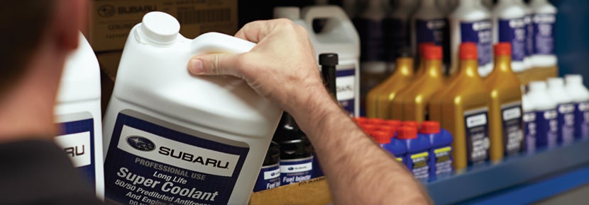 Picture of Subaru Super Coolant. | SubaruDemo2 in Hillsboro OR