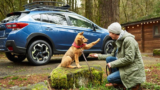 SubaruDemo2 in Hillsboro OR